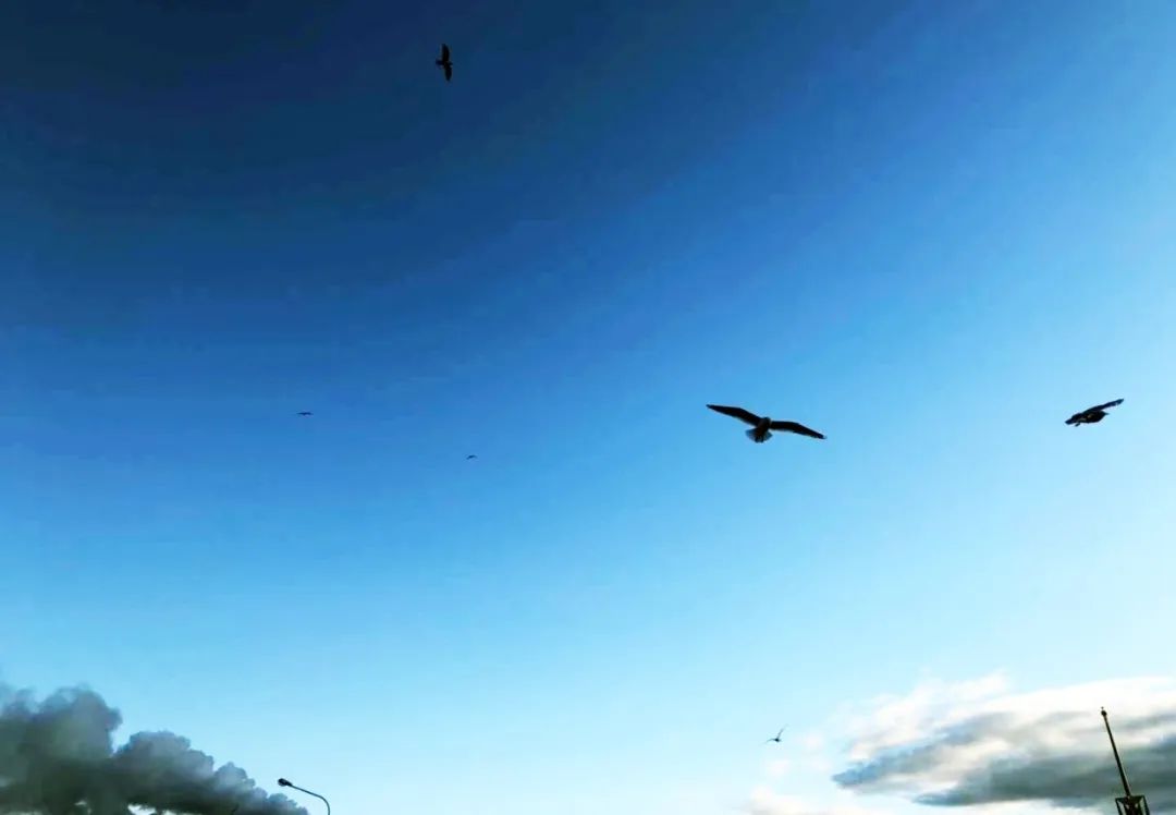 找工作到底是喜欢的还是挣钱多的,找工作找工资高的还是自己喜欢的