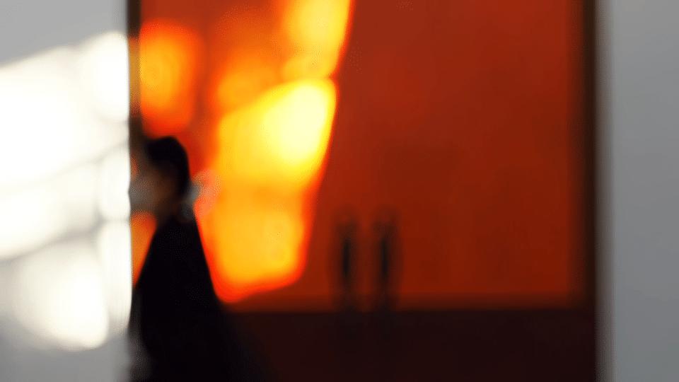 新年第一天，我去打卡一间森林里的美术馆