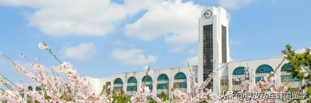 韩国留学申请条件及流程详解,韩国大学绩点换算