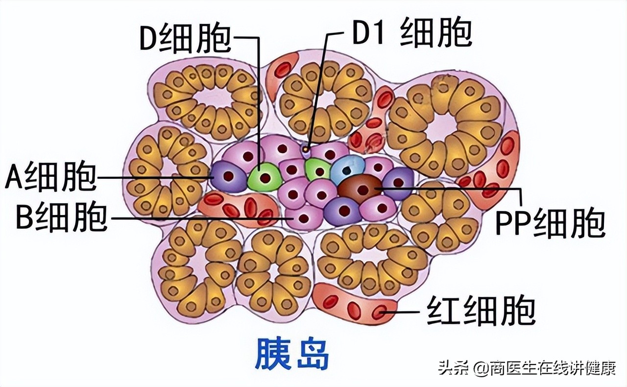 经常吃点花生对血糖有影响吗,常吃花生对糖尿病的影响