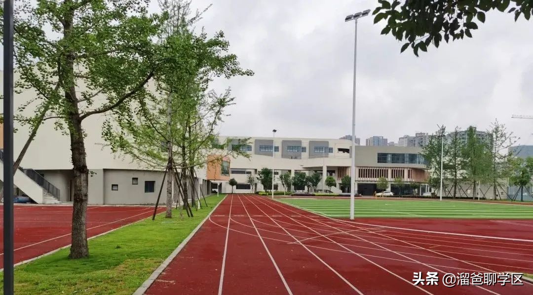 中和b学区哪个学校好,成都中和a区学校