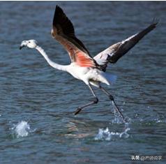 汉字的常用偏旁部首大全完整版,汉字偏旁部首名称表最全最完整