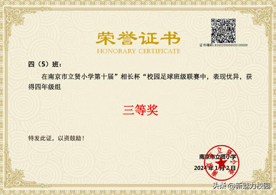 南京市晓庄小学校园足球联赛,区长杯小学校园足球联赛