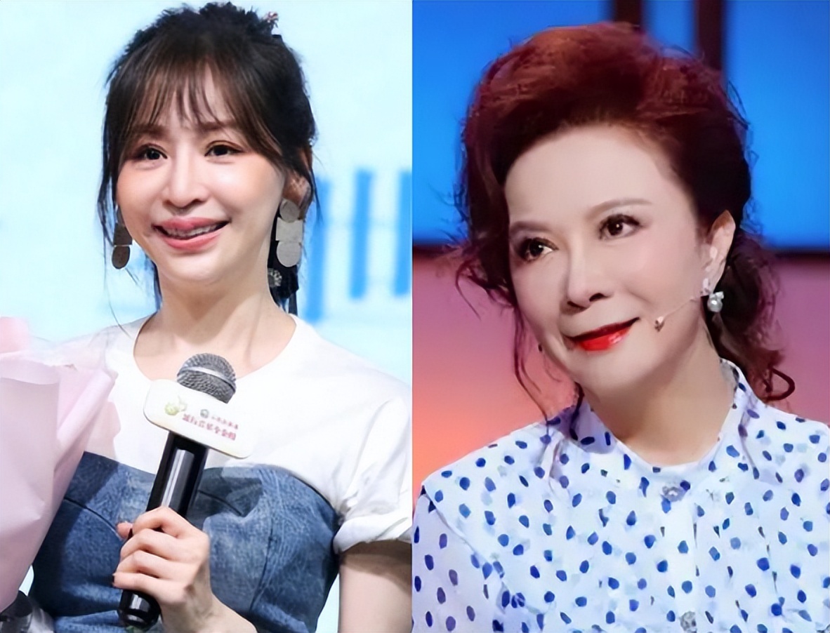 整容脸和自然脸老了的区别,自然美和整容脸的图片对比