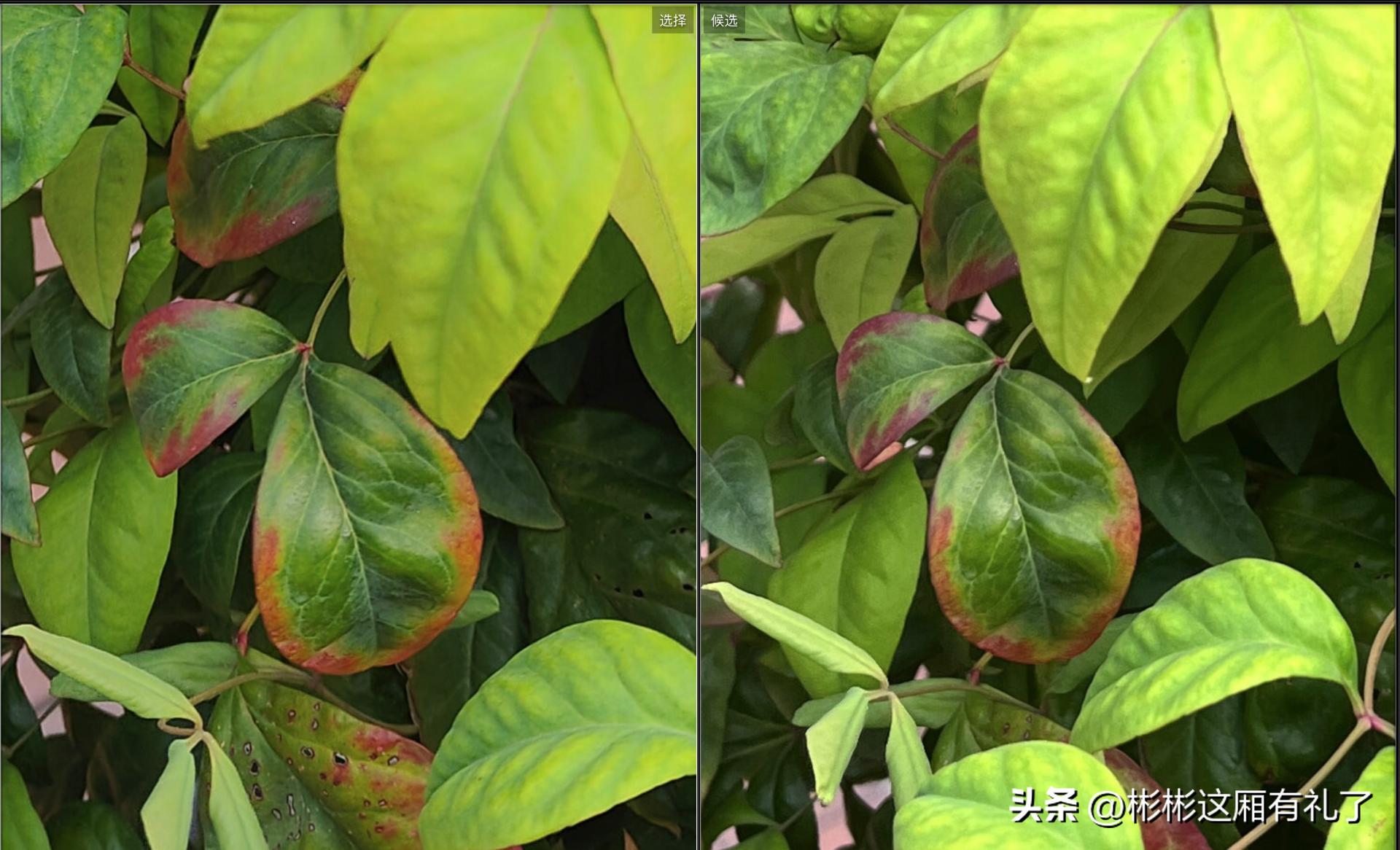 出门必带的10种冷门物品,这才是出门必带的东西