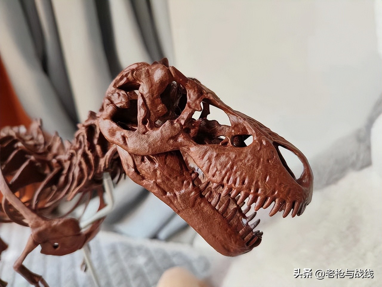 如何制作霸王龙骨架,用硬纸板做霸王龙骨架教程