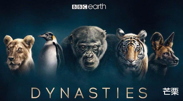 七部神级自然纪录片你看过几部,自然纪录片十大巅峰神作