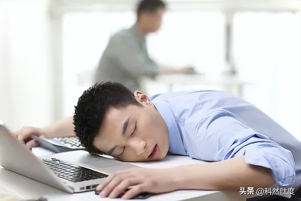 大豆肽推荐,大豆肽降脂效果