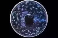 鏃ユ湰鍗冨勾閲庡績,鏃ユ湰鍗冨勾鏈洪亣