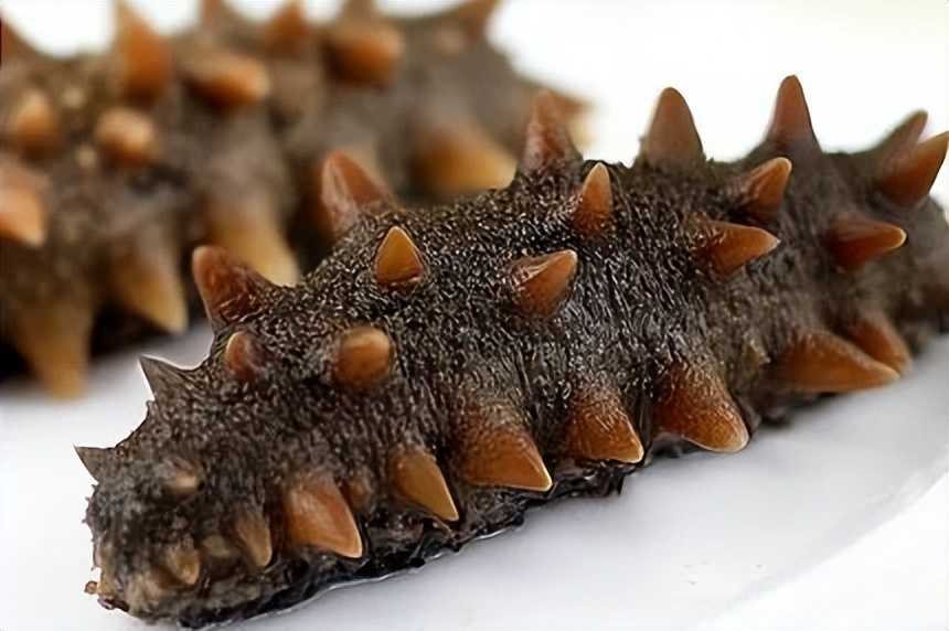 【牧葵厨房】海参这样吃，居家隔离提高免疫力！