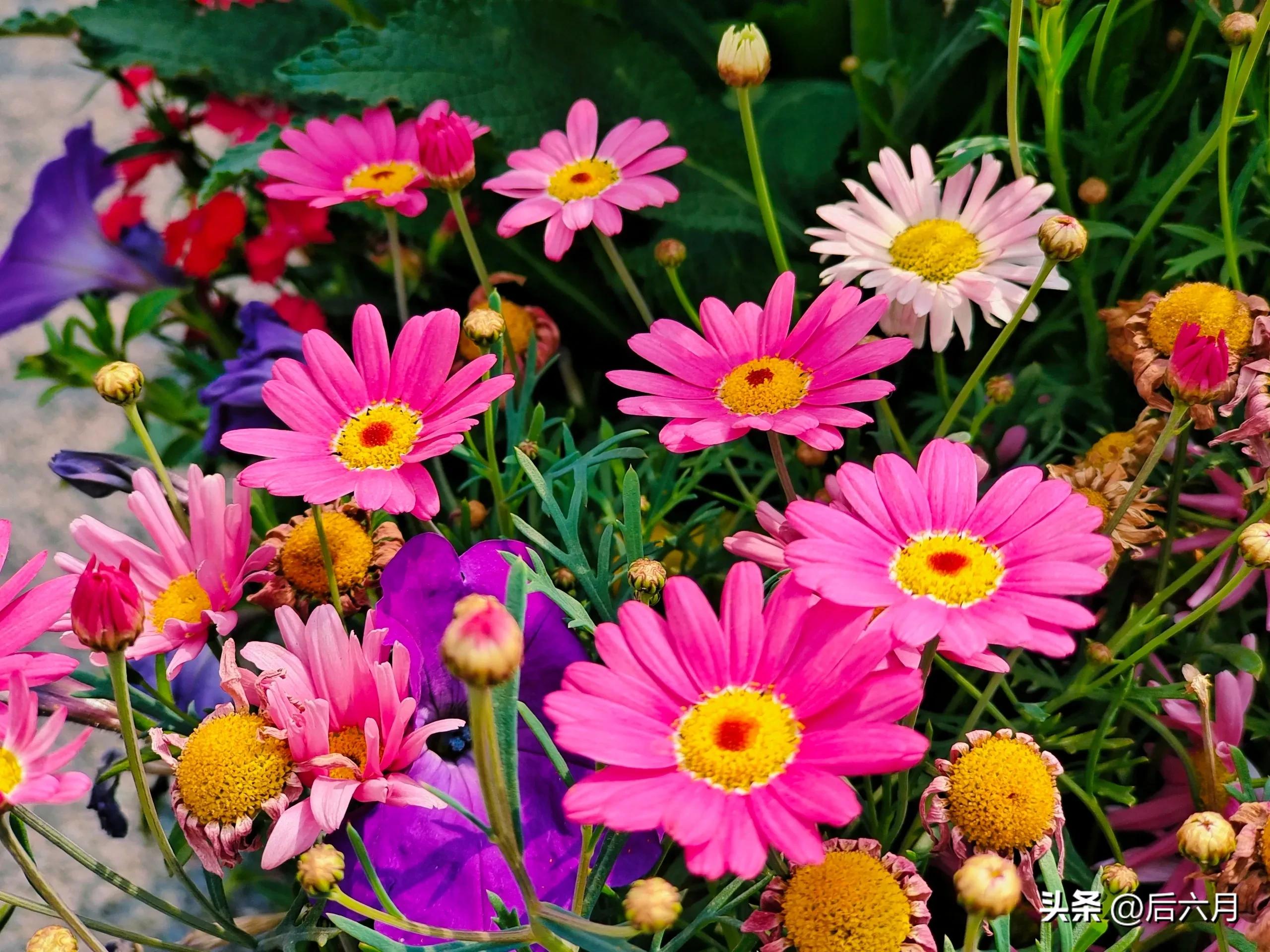 途游西海岸l无比方花园，杨家山里新添网红打卡地