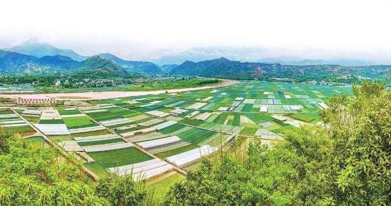 贫困地区农业发展现状,扶贫农业发展前景