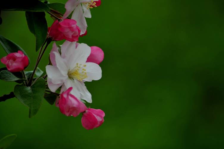 清理垃圾的最好办法,人要懂得及时清理垃圾