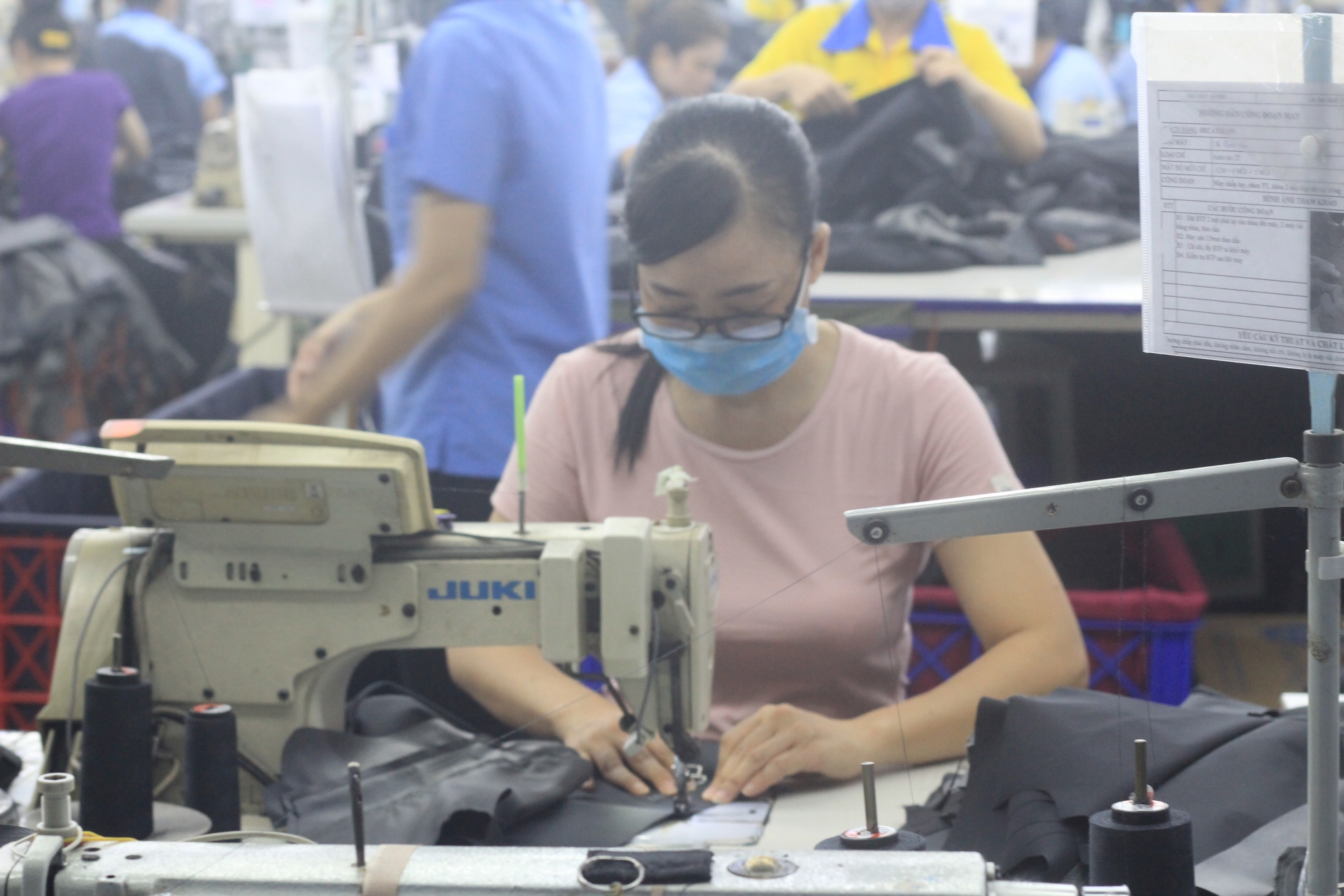 越南来华砍甘蔗,越南人来中国砍甘蔗