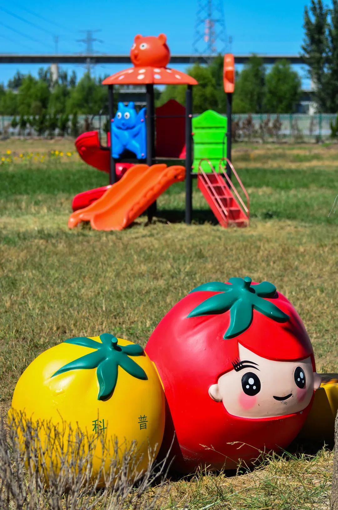 济南采摘园推荐最新,济南采摘园推荐秋季