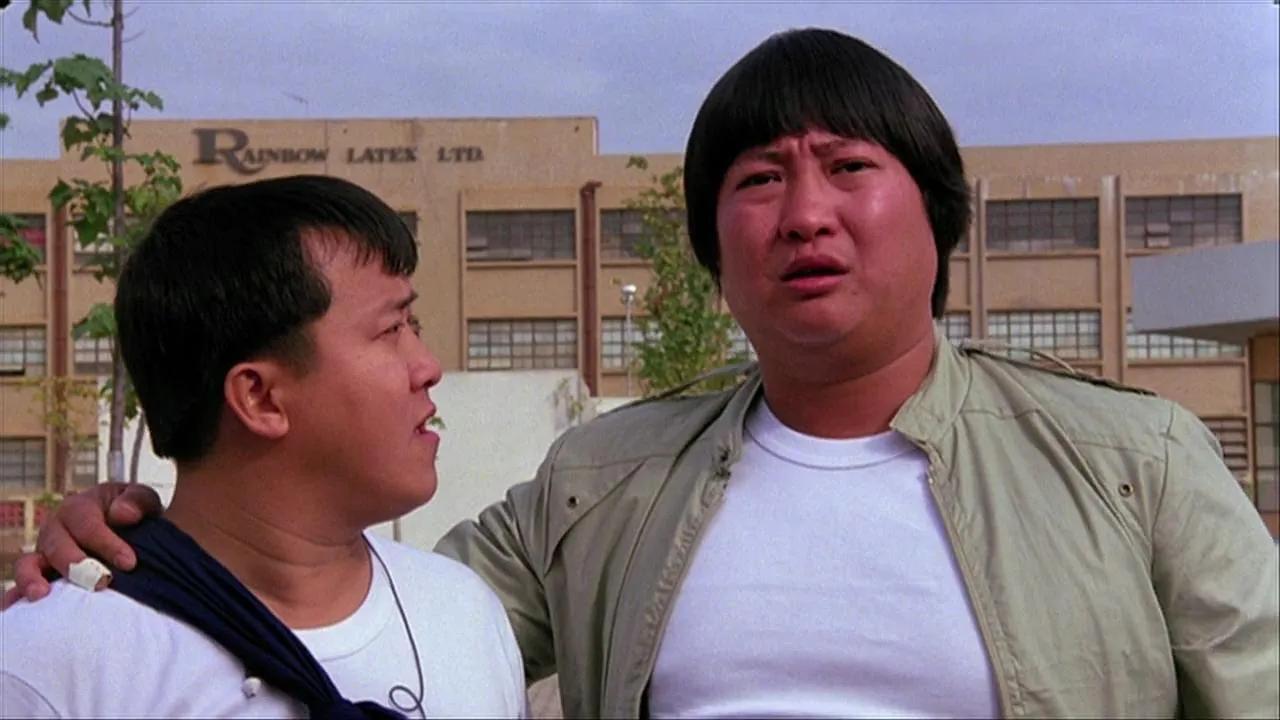 新艺城奋斗岁月,来也匆匆去也匆匆作品