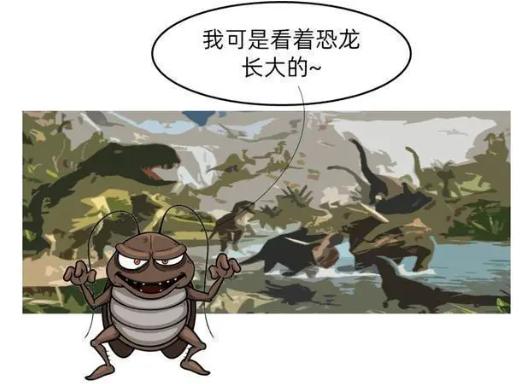 自制消灭蟑螂蚂蚁蚊子的小妙招,生活小妙招香蕉皮消灭蟑螂视频