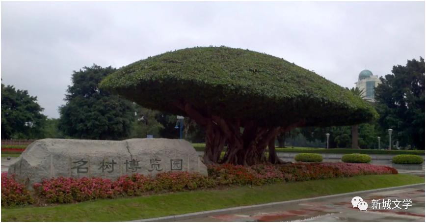 南宁名树博览园旅游攻略,巴马旅行