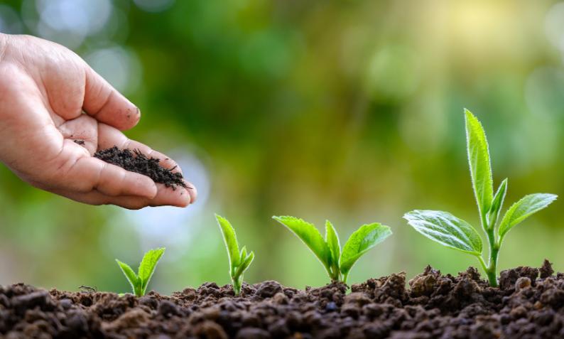 如何通过政策支持农业可持续发展,农业可持续性发展的理论与实践