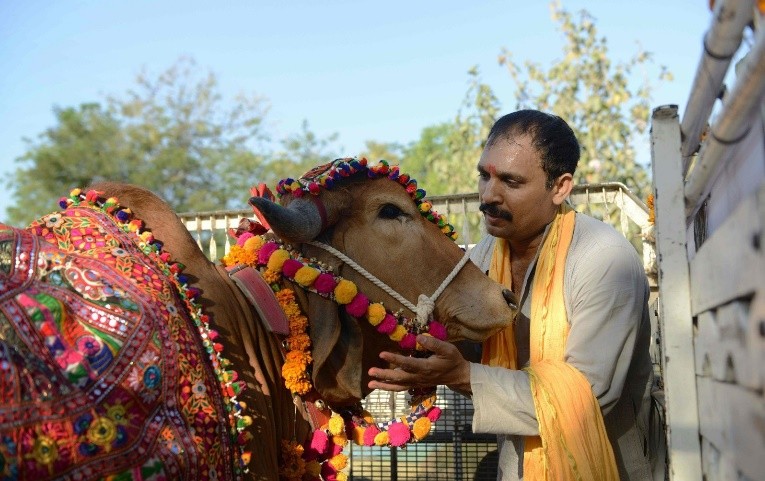 印度低种姓娶高种姓女人例子,印度最高种姓婆罗门女人