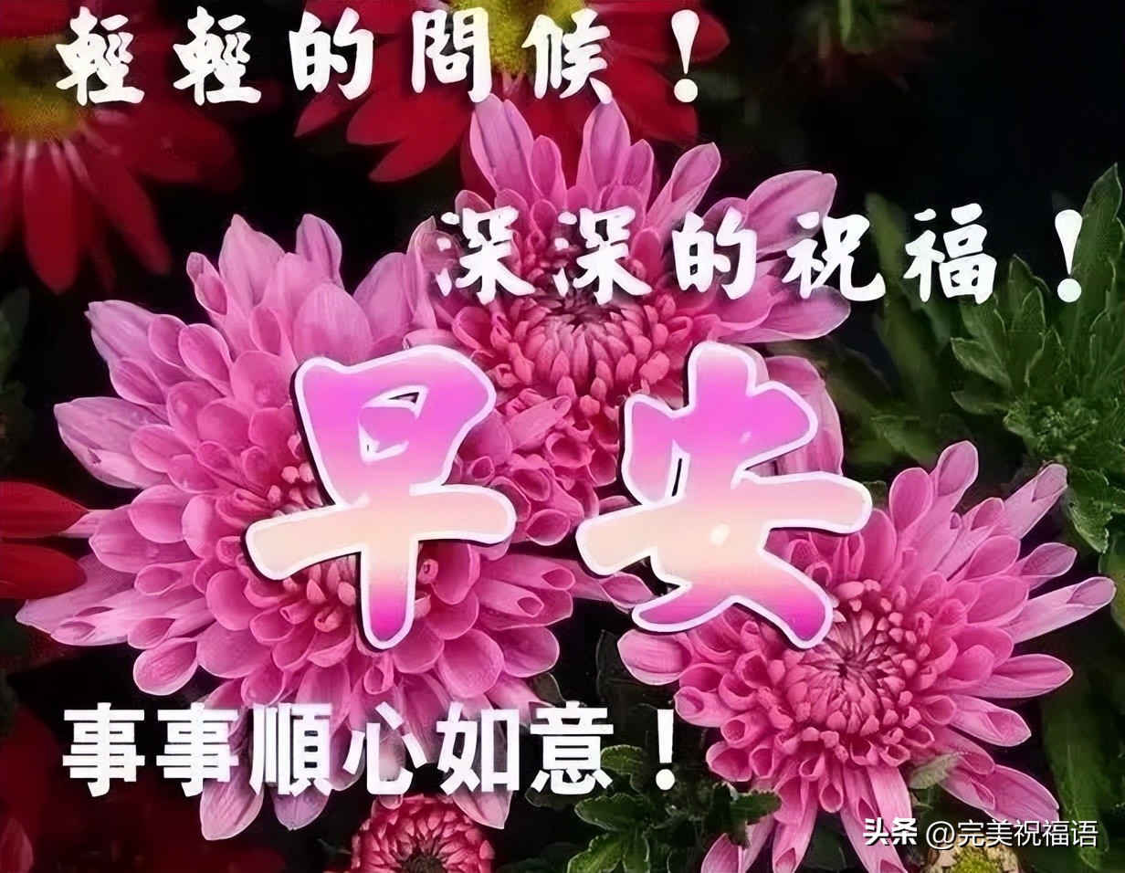 早上好图片大全最美温馨表情,新的一年早上好表情图