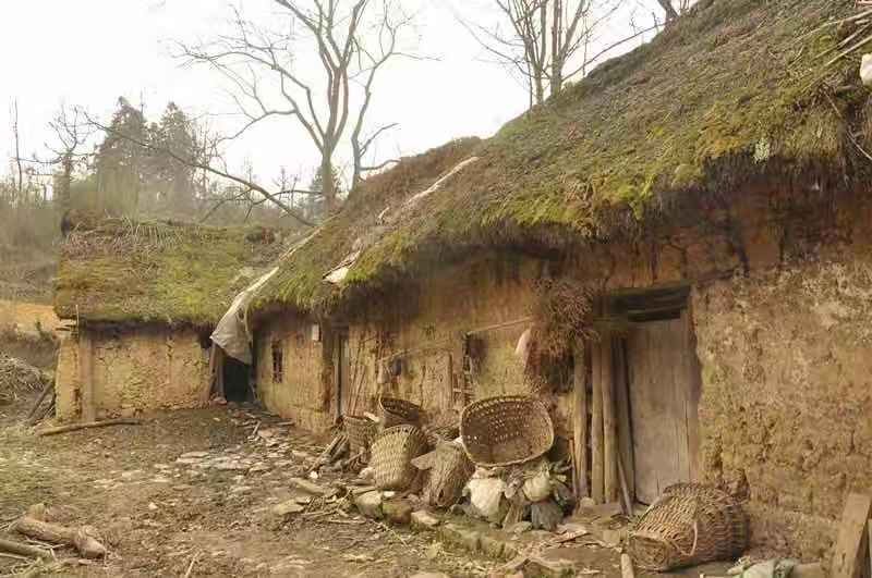 梅花香自苦寒来的上一句是什么,梅花香自苦寒来视频