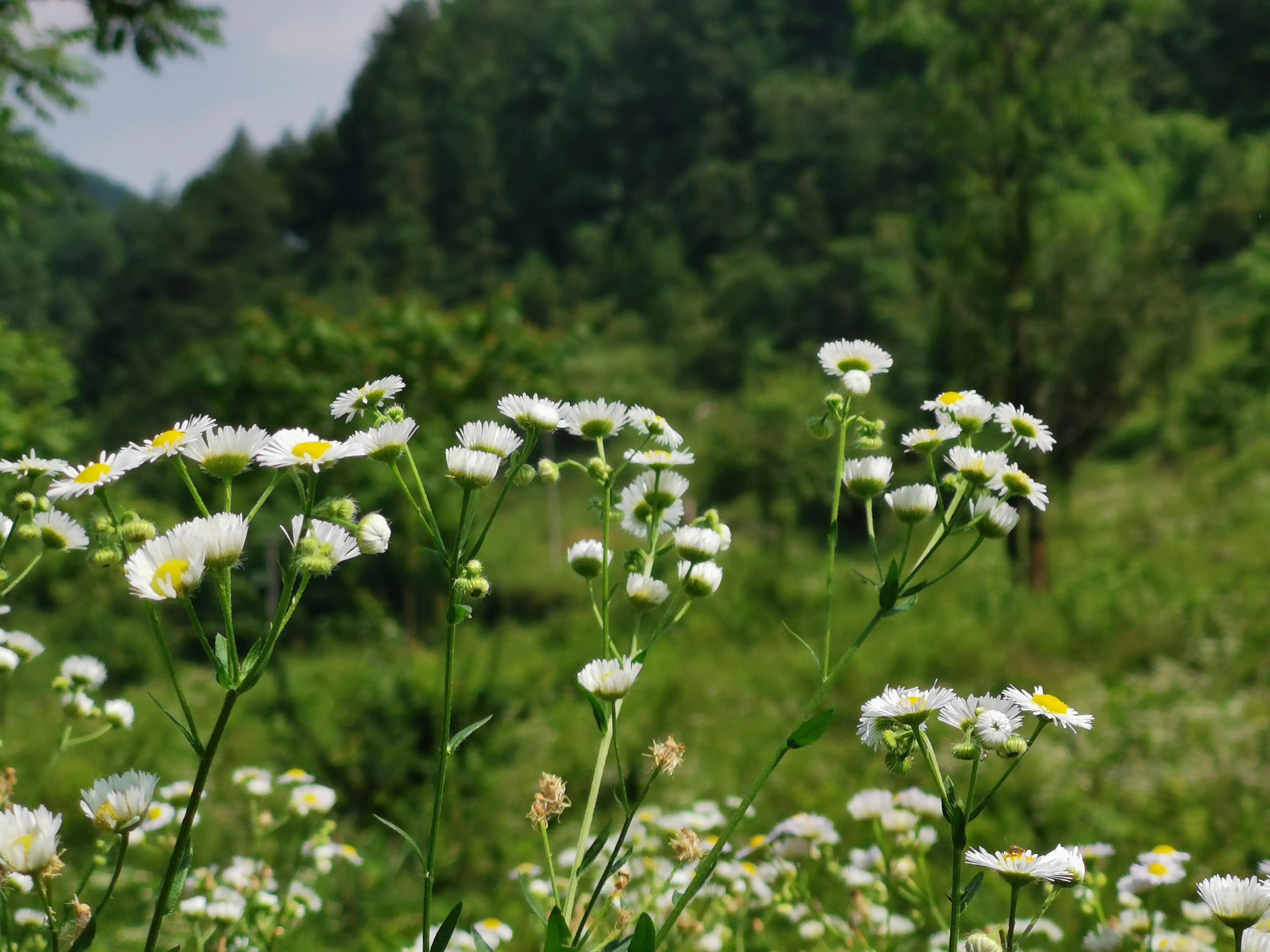 去贵州桐梓避暑哪里最好,桐梓包吃住避暑民宿