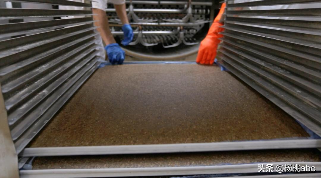 夜宵海鲜高蛋白,晚上夜宵吃什么海鲜不发胖