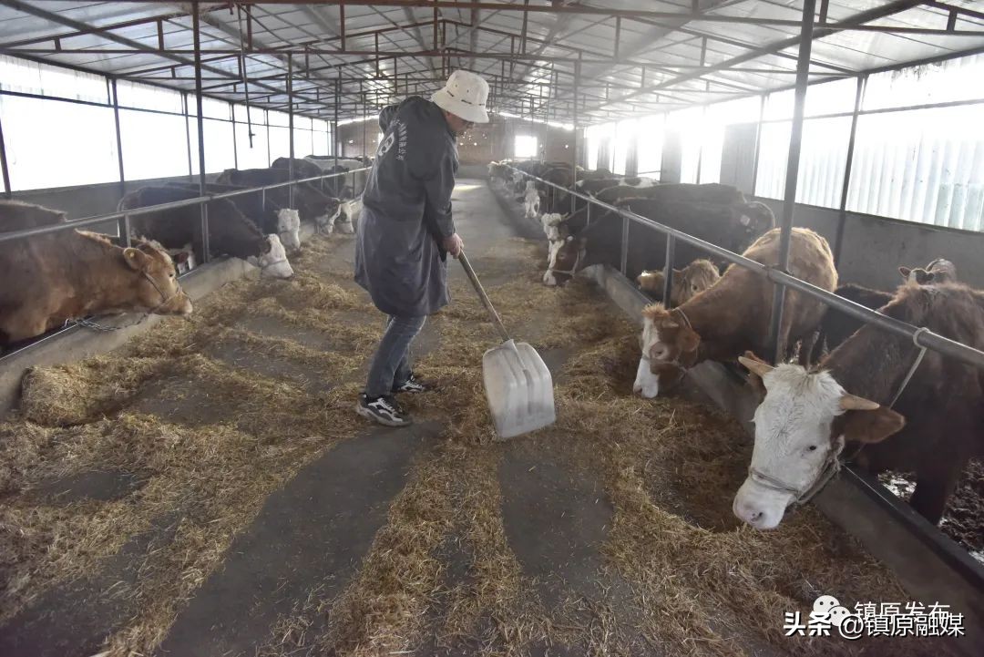 点燃创新新引擎打造发展高地,产业振兴点燃乡村振兴新动能