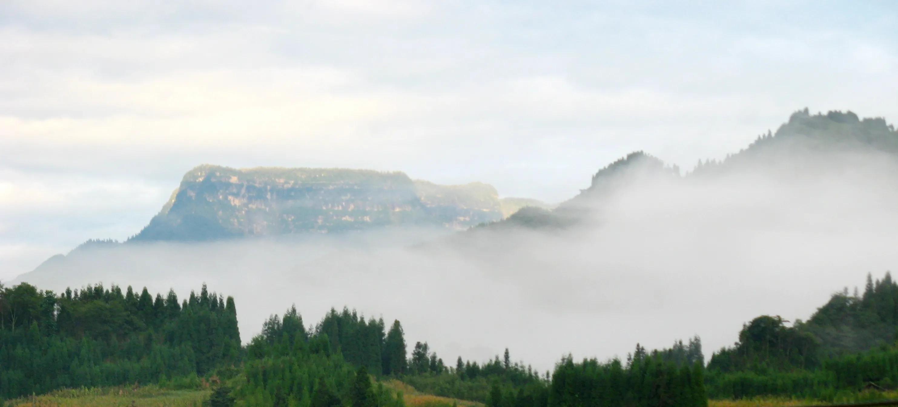 三昧水忏女声读诵上中下,三昧水忏唱诵