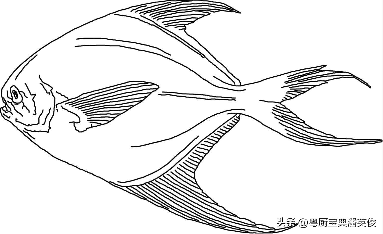 食材知识学习,食材知识视频教程