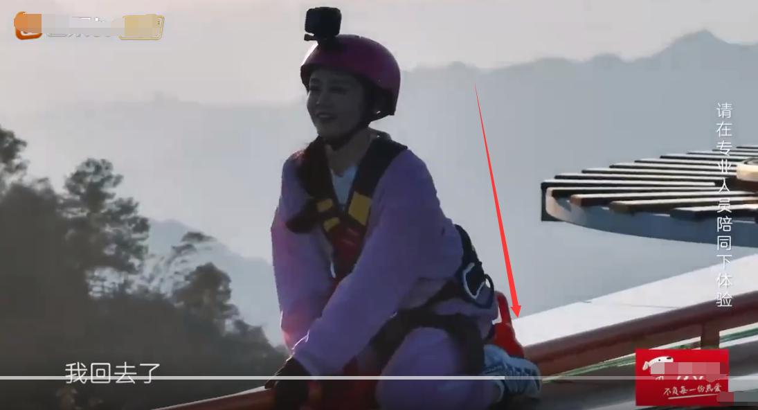 郑钧评价苗苗扮猪吃老虎,苗苗评价郑钧刘芸