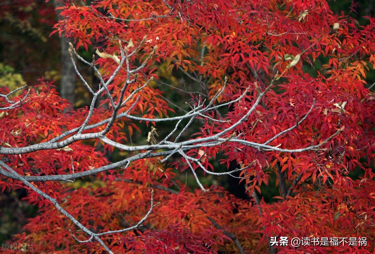 国学经典之三国志导读第六十讲,国学经典导读第二版