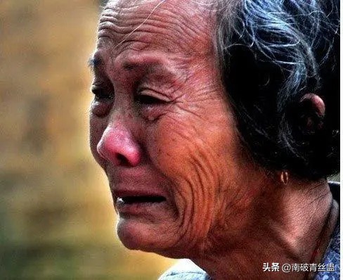 白茶煮蛋事件,把全网逼疯的白茶事件