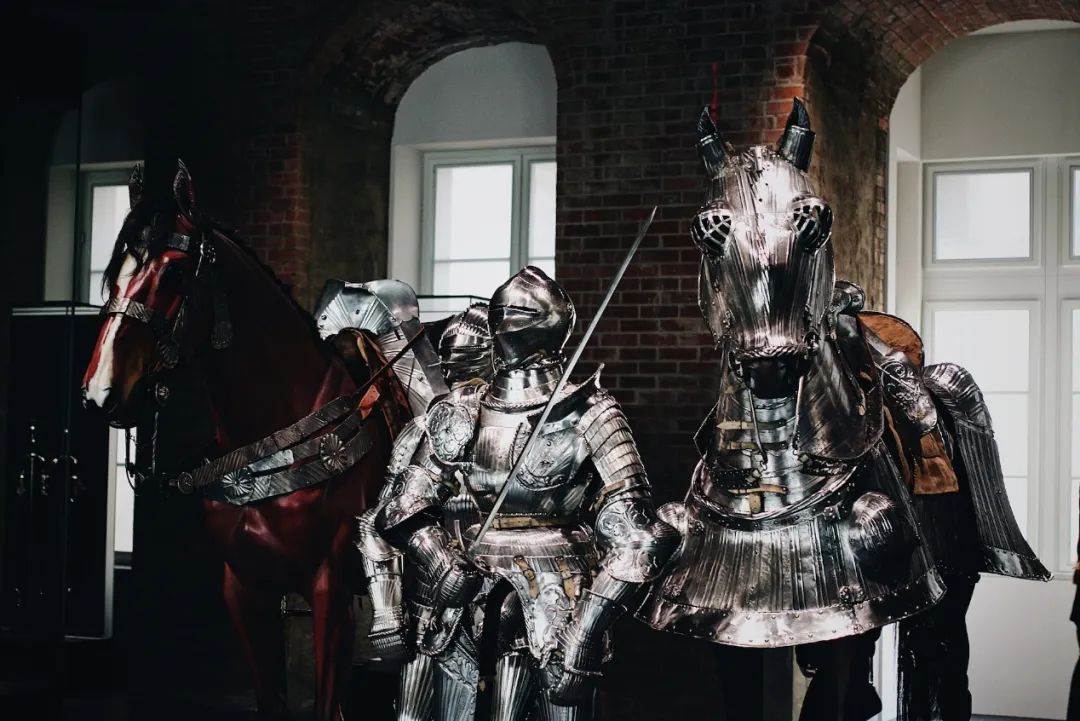 金骑士意式木门,金骑士木门实景