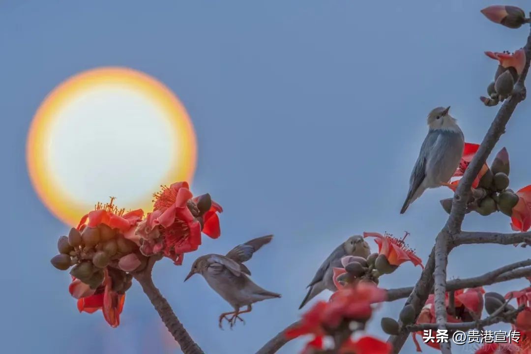 为什么要过所有节日,为什么要过这个节