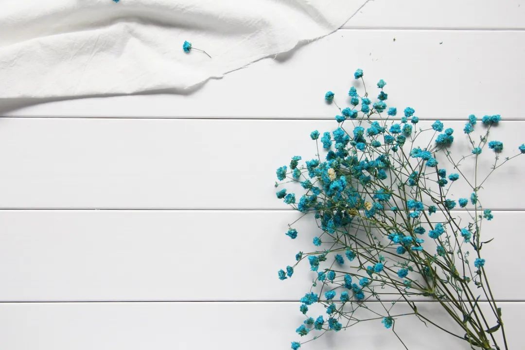 马小秋在线观看,抖音马小秋直播间视频