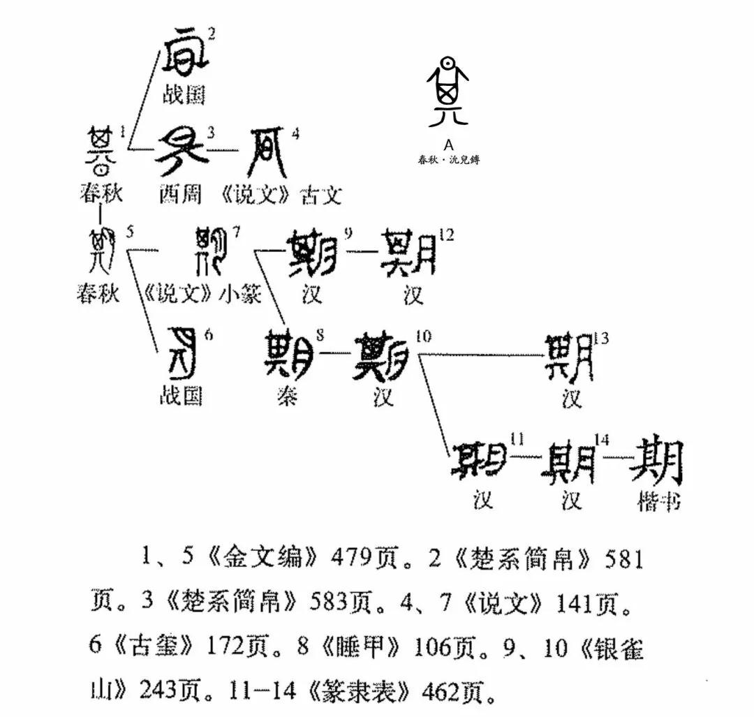 期字的讲解,期数有玄机是什么意思
