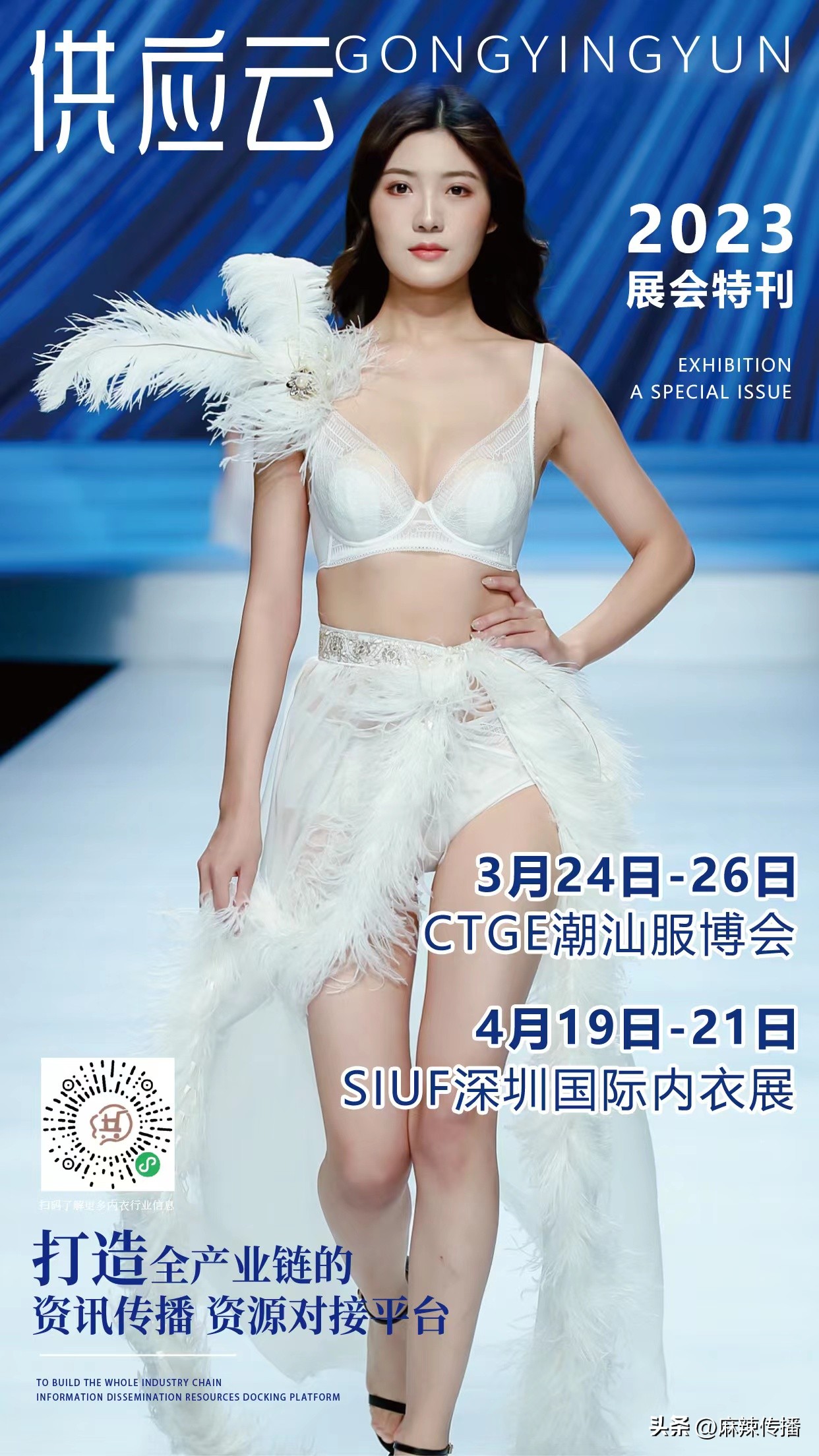 【麻辣直播】来成都抢风口！内衣实体新增长关键词这都有