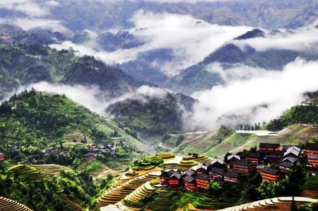 悬念揭晓在即,悬念揭晓视频