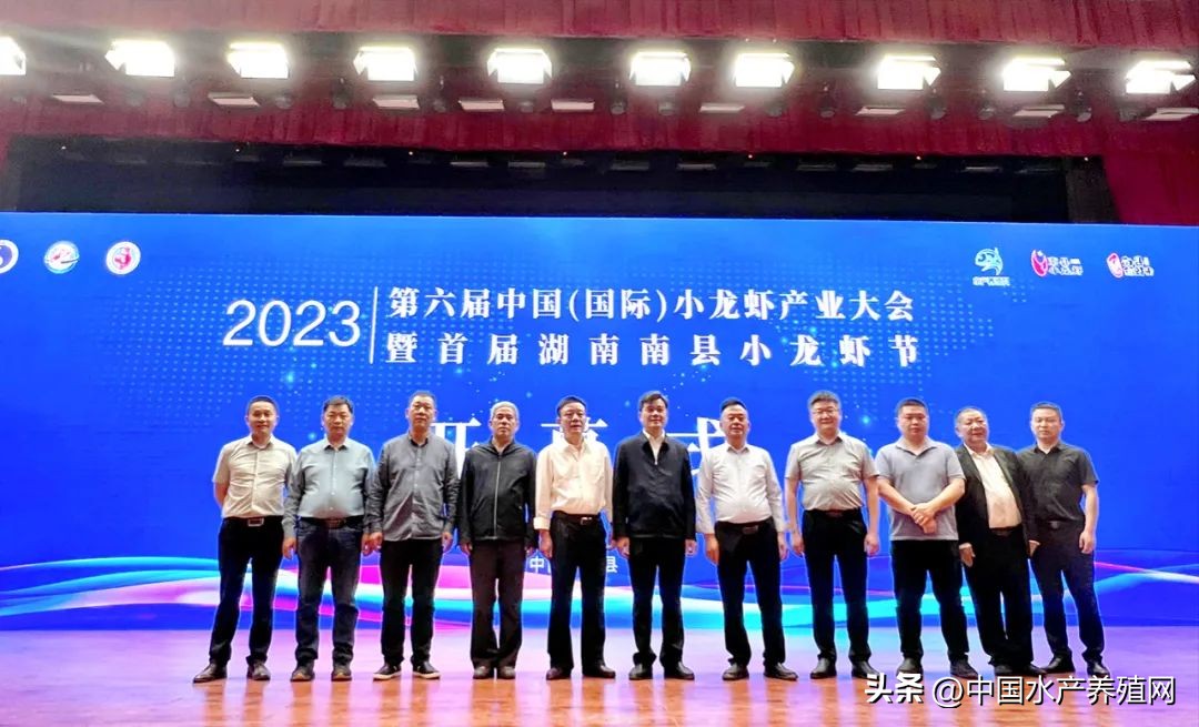2023年南县小龙虾价格行情,南县小龙虾价格报价