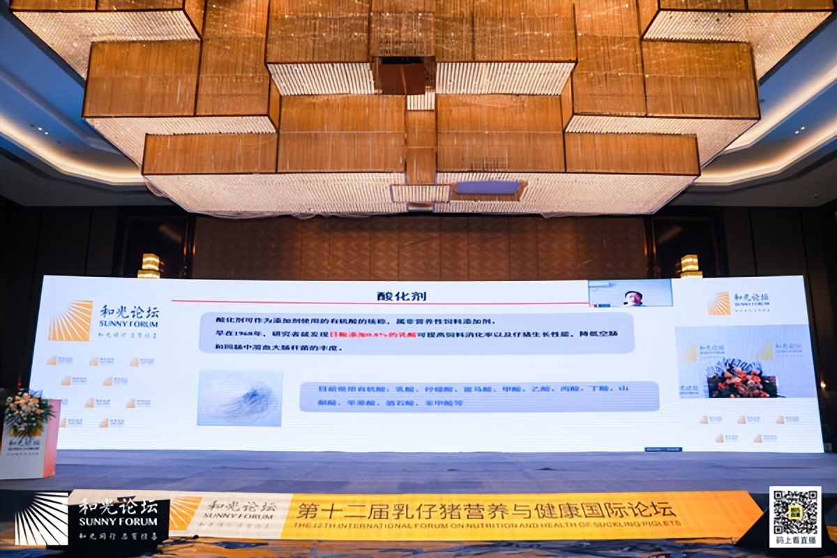 和光论坛-第十二届乳仔猪营养与健康国际论坛圆满落幕