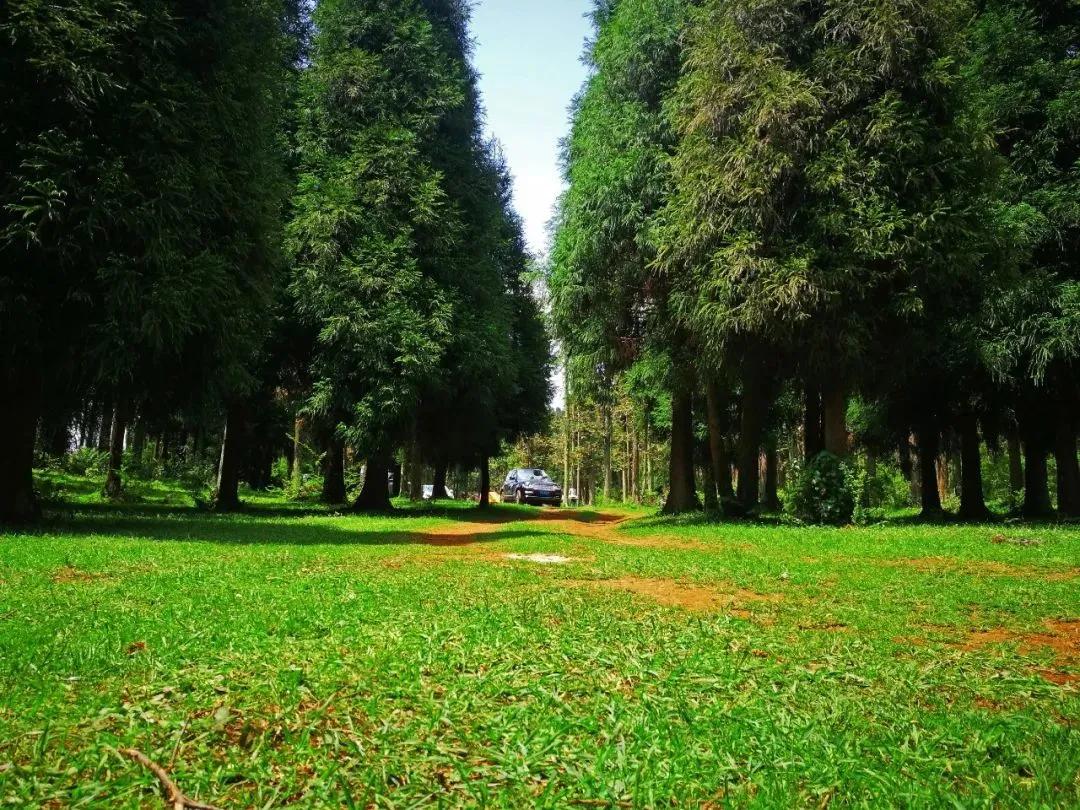 宜居个旧市,个旧为什么适合人类居住