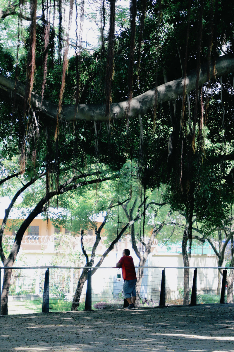 深圳ENJOY｜城市漫游指南·蛇口