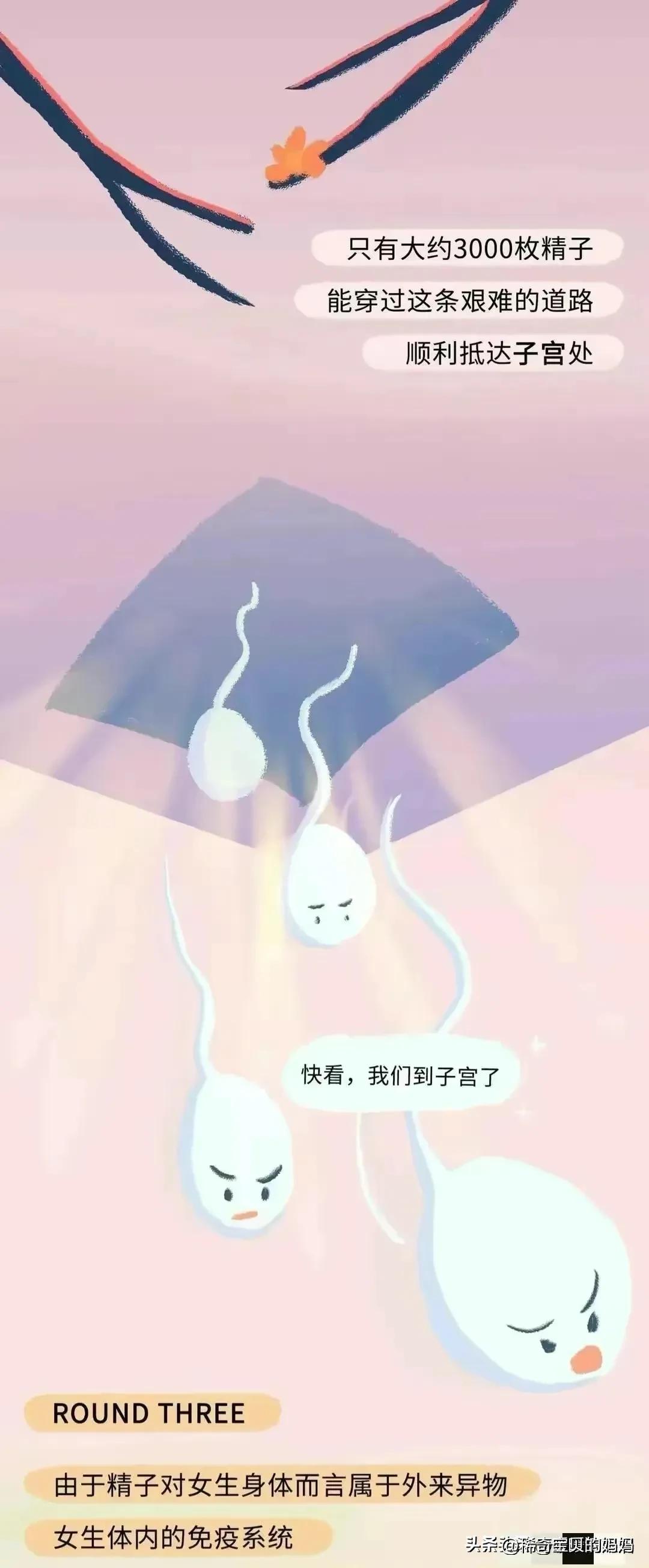 “小蝌蚪＂进入女性体内的全过程