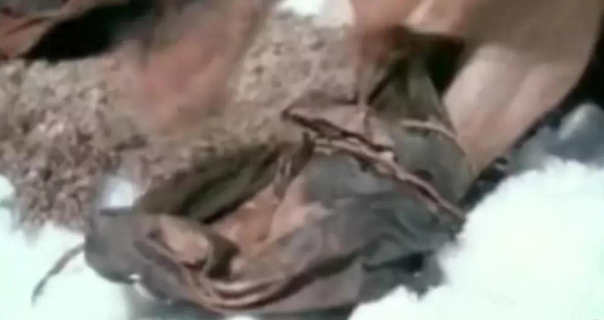 趣史解密,趣史探秘纪录片