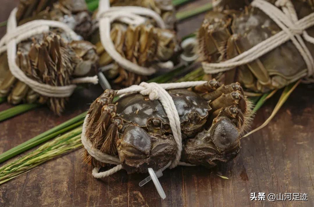 双沟大曲最高端,双沟大曲为什么叫双沟