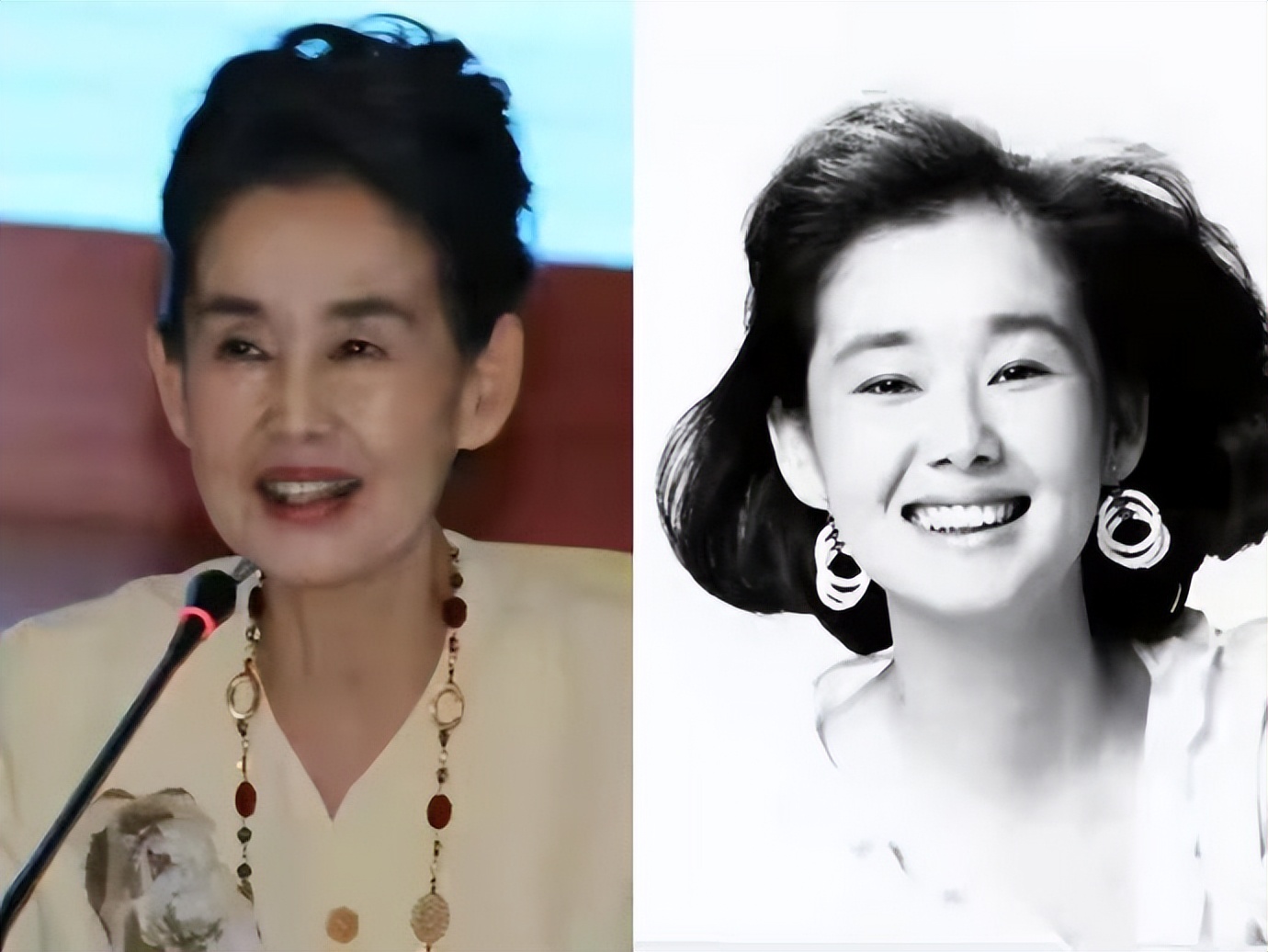 中野良子真由美,真由美中野良子简介