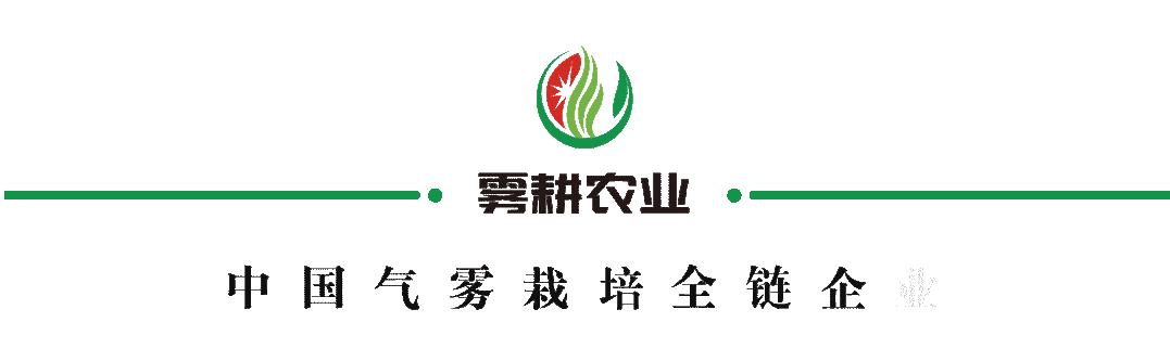 雾培蔬菜种植技术视频,在家水培蔬菜水果种植技术