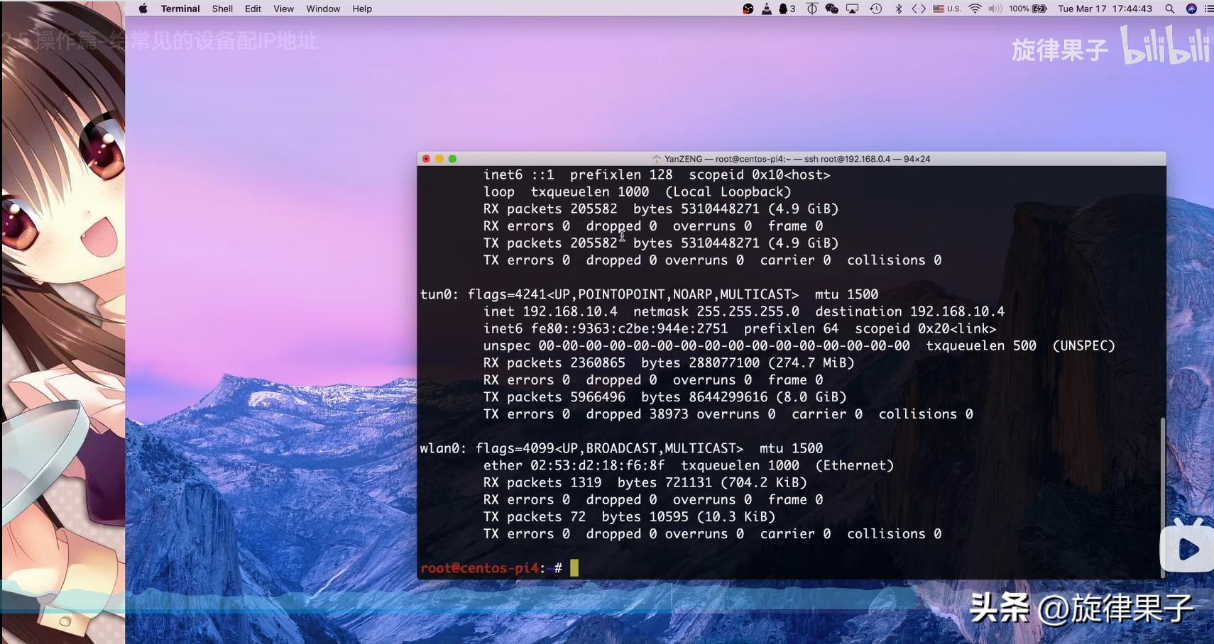 ip地址分配操作,mac地址绑定解决ip冲突